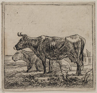 TvB G 0631
<br/>
Staande koe voor een liggende koe
<br/>
<em>Cuyp, Aelbert (1620-1691)</em>